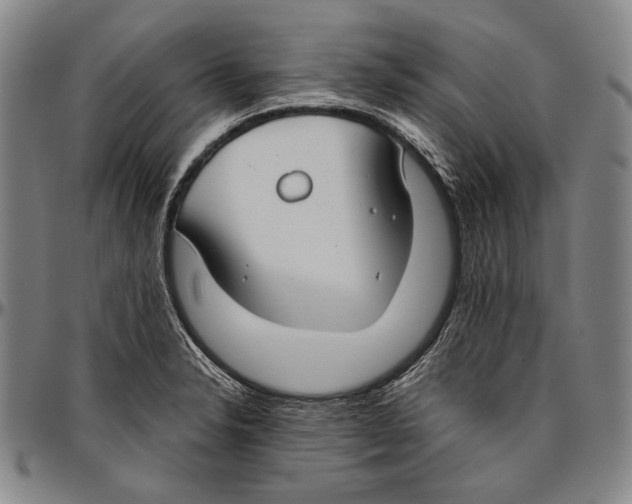 X0000096471326200802211141