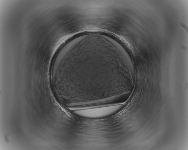 X0000096471327200802211141