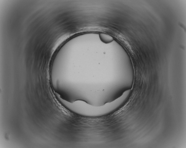 X0000096471328200802211141