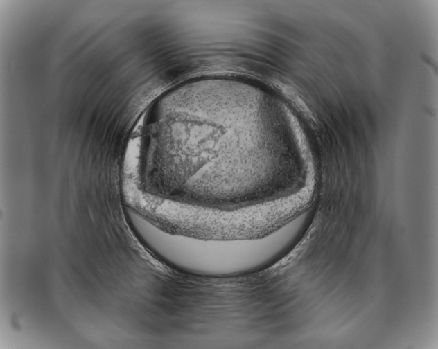 X0000096471329200802211141