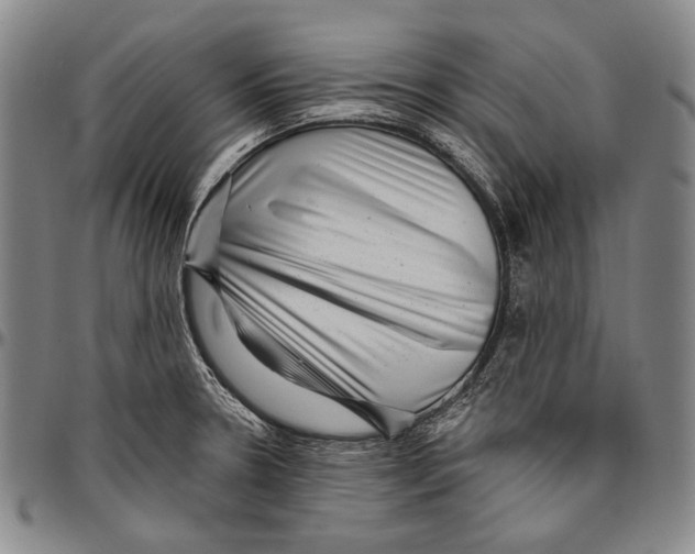 X0000096471330200802211141