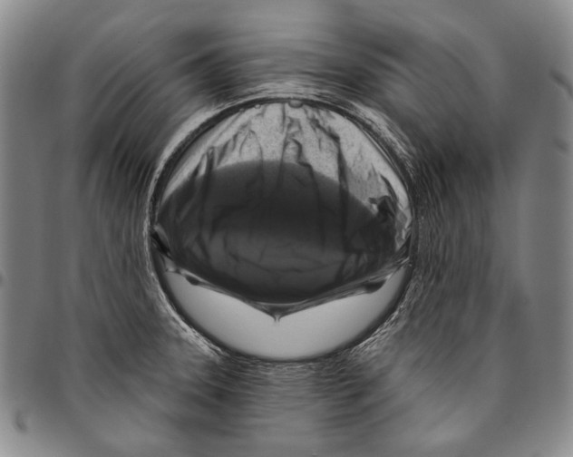 X0000096471331200802211141