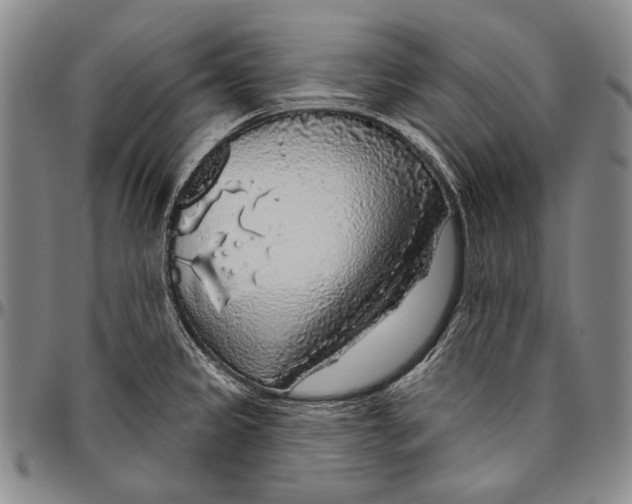 X0000096471333200802211141