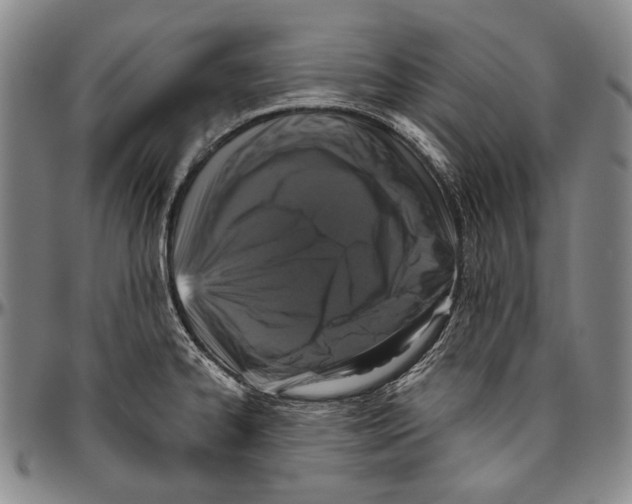 X0000096471334200802211141