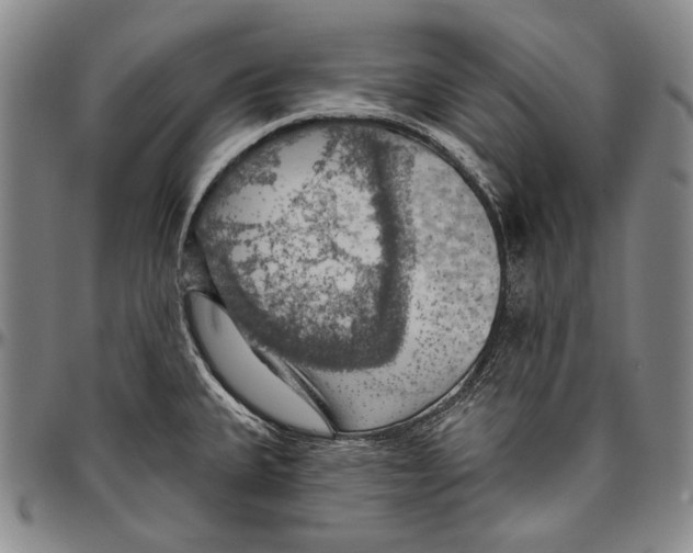 X0000096471335200802211141