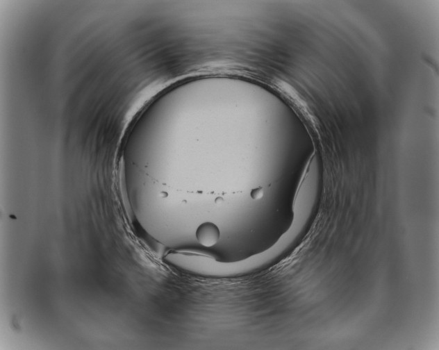 X0000096471336200802211141