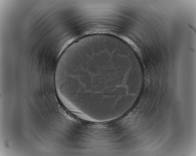 X0000096471337200802211141