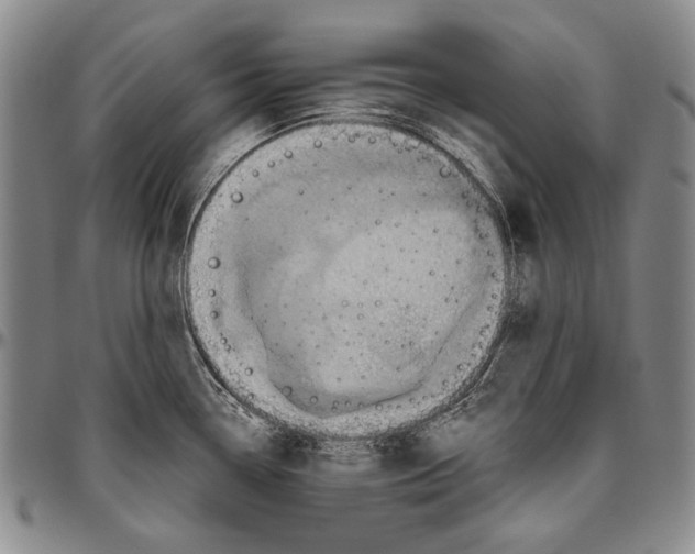 X0000096471338200802211141