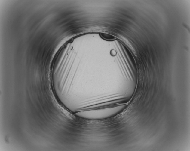 X0000096471339200802211141