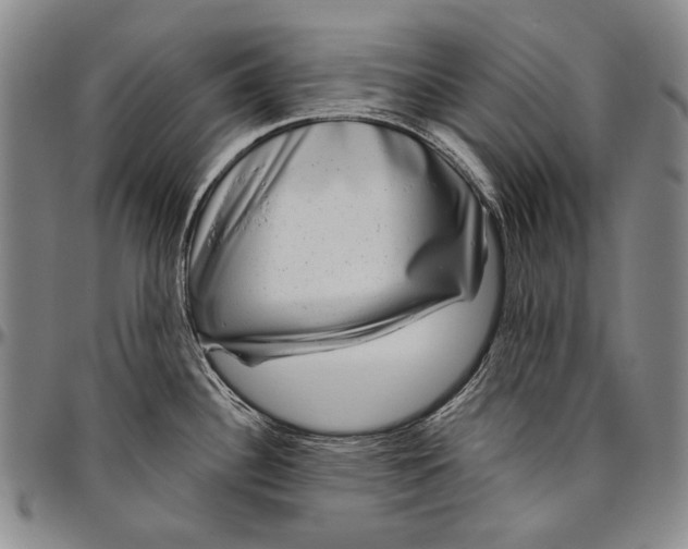 X0000096471340200802211141