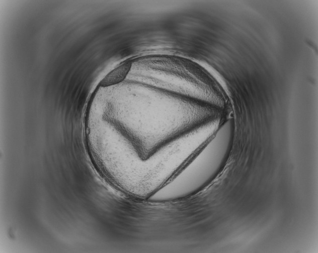 X0000096471341200802211141