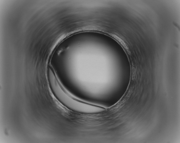 X0000096471342200802211141