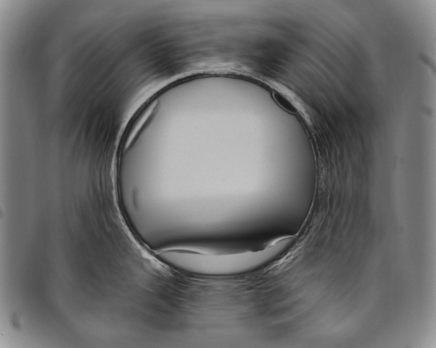 X0000096471343200802211141