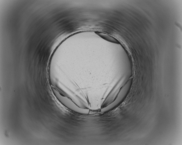 X0000096471344200802211141