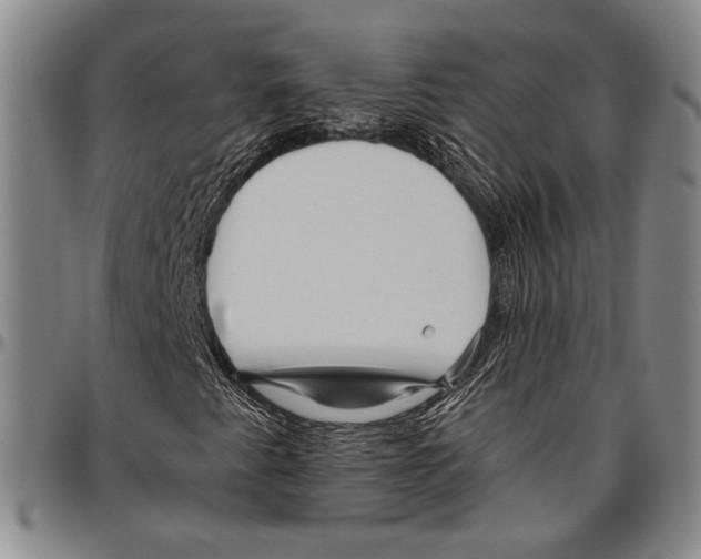 X0000096471345200802211140