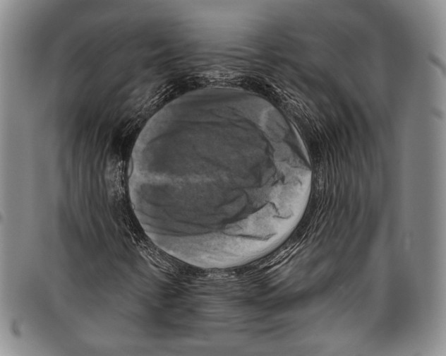 X0000096471346200802211140