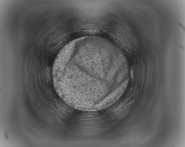 X0000096471347200802211140