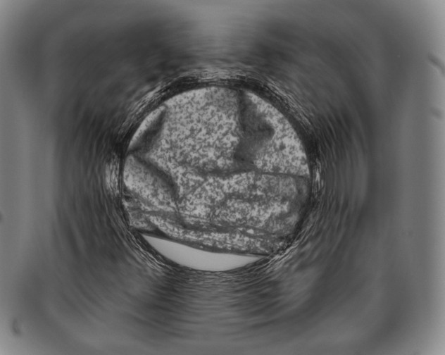 X0000096471348200802211140