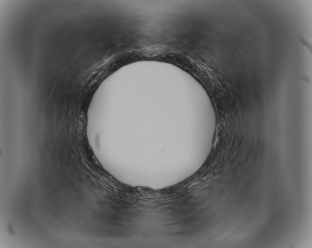 X0000096471349200802211140