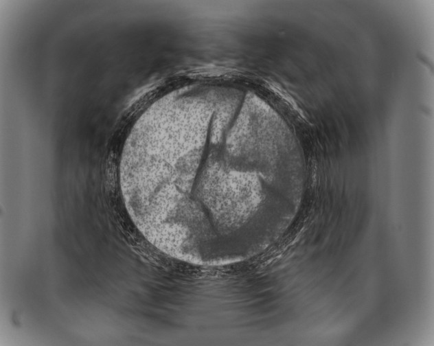 X0000096471350200802211140