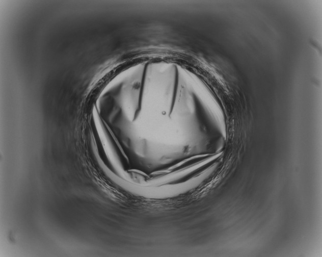 X0000096471352200802211140