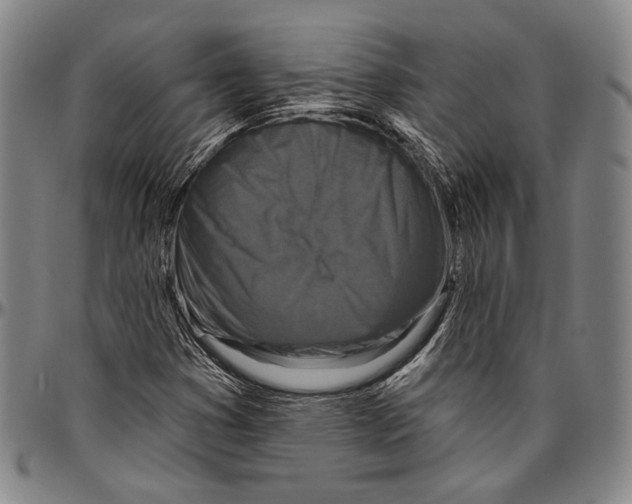 X0000096471353200802211140