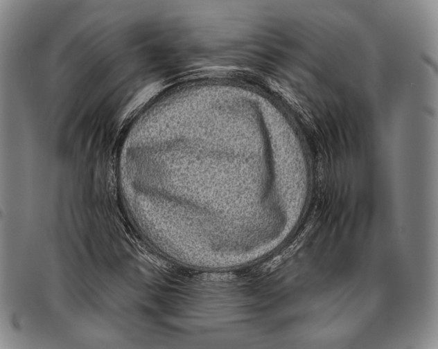 X0000096471354200802211140