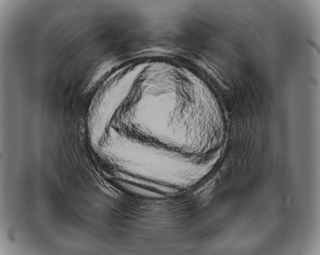 X0000096471355200802211140