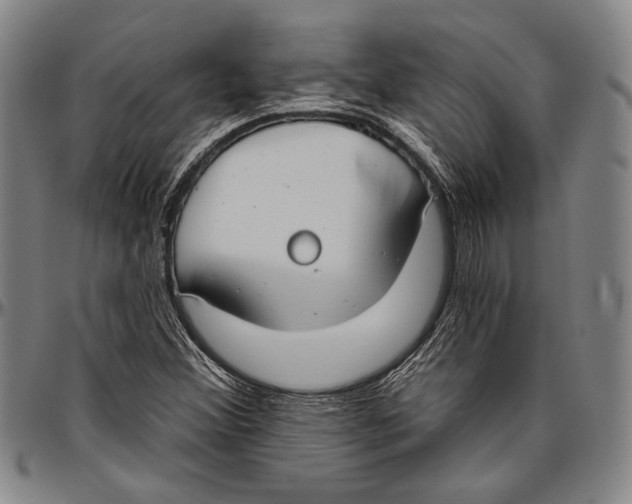 X0000096471356200802211140