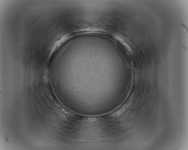 X0000096471357200802211140