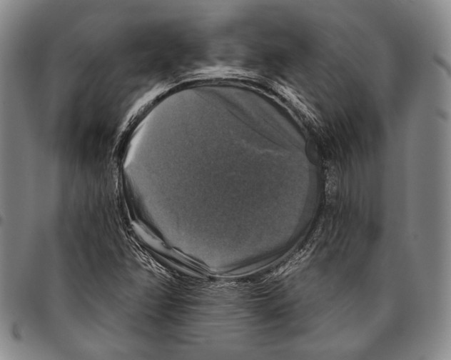 X0000096471358200802211140