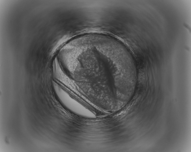 X0000096471359200802211140