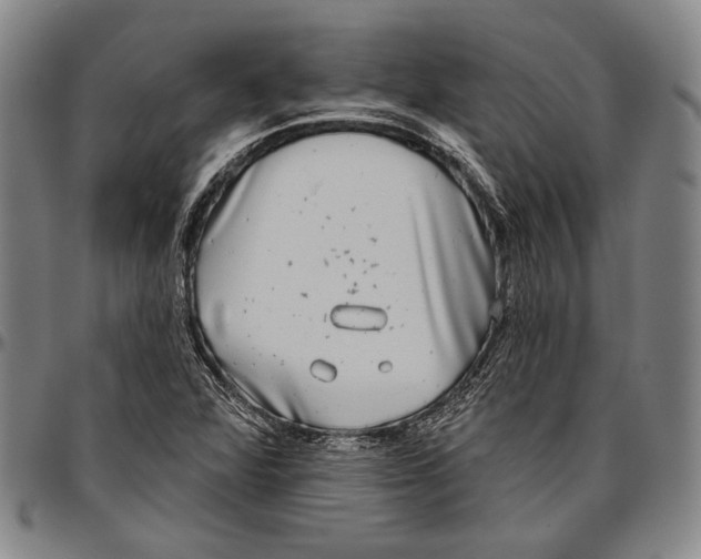 X0000096471360200802211140