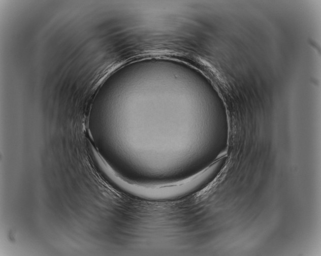 X0000096471361200802211140