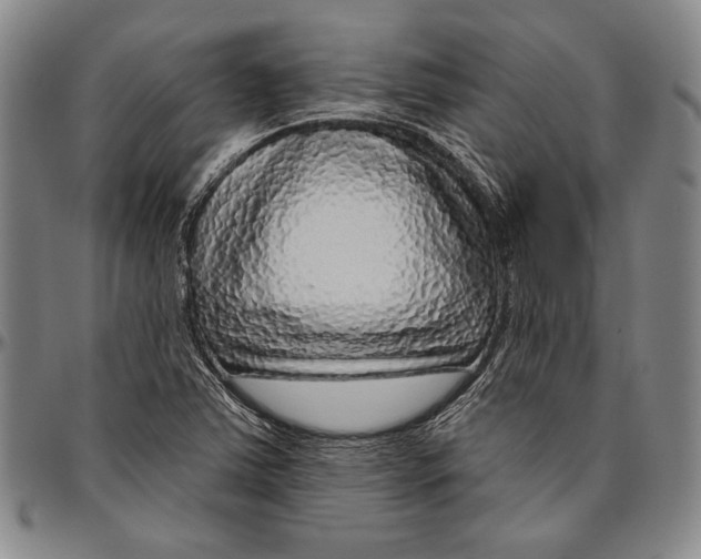 X0000096471363200802211140