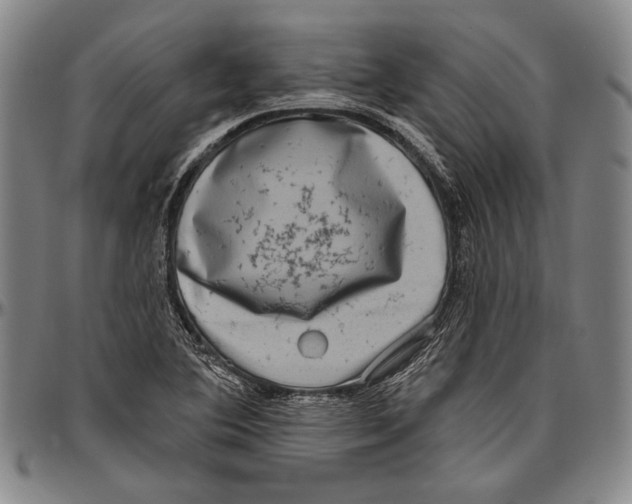 X0000096471364200802211140