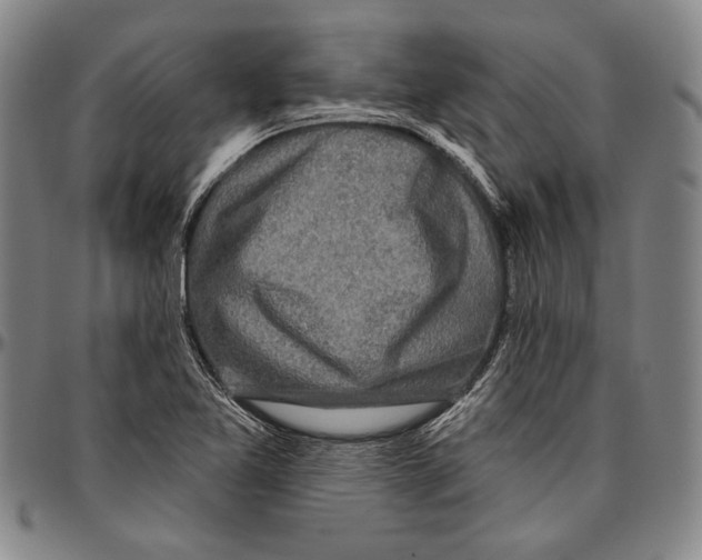 X0000096471365200802211140