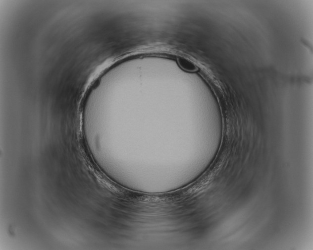 X0000096471366200802211140