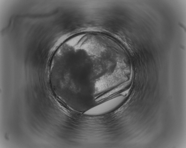 X0000096471367200802211140