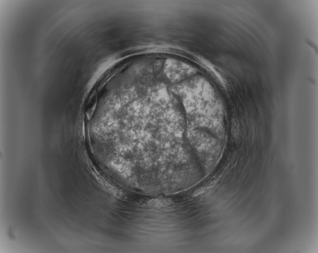 X0000096471368200802211140