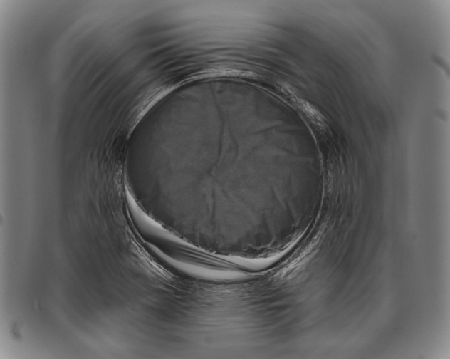 X0000096471369200802211140