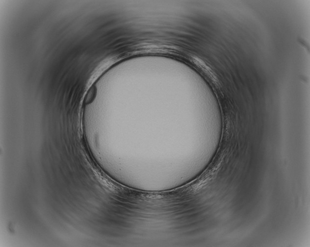 X0000096471370200802211140