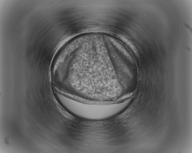 X0000096471372200802211140