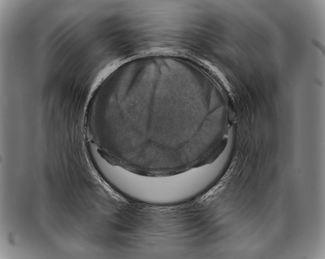 X0000096471373200802211140