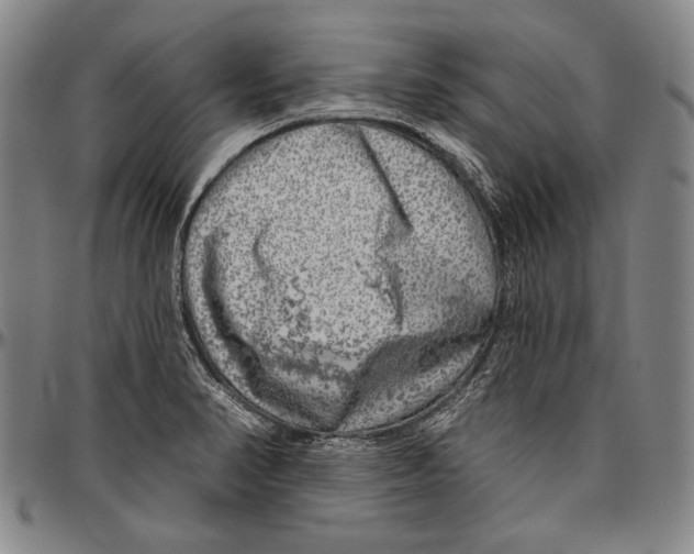 X0000096471374200802211140