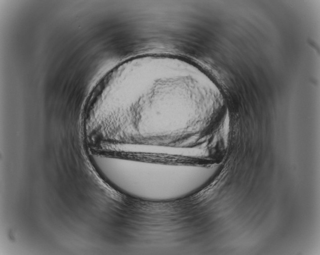 X0000096471375200802211140