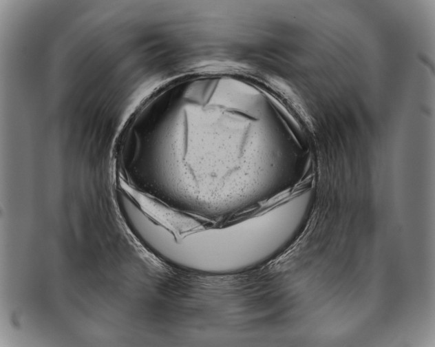 X0000096471376200802211140