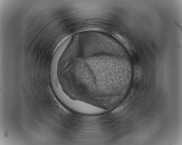 X0000096471377200802211140