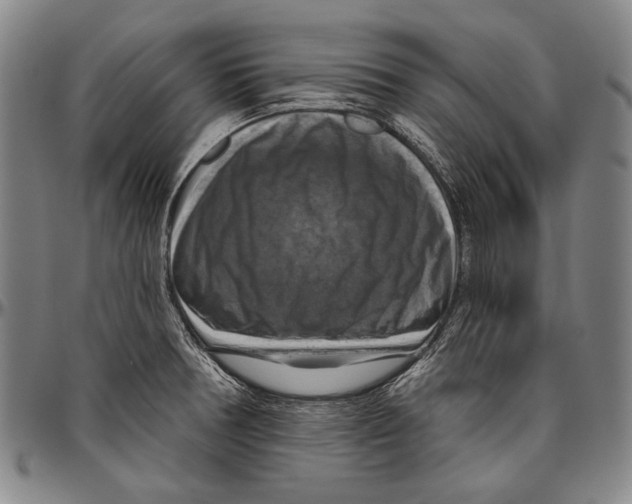 X0000096471378200802211140