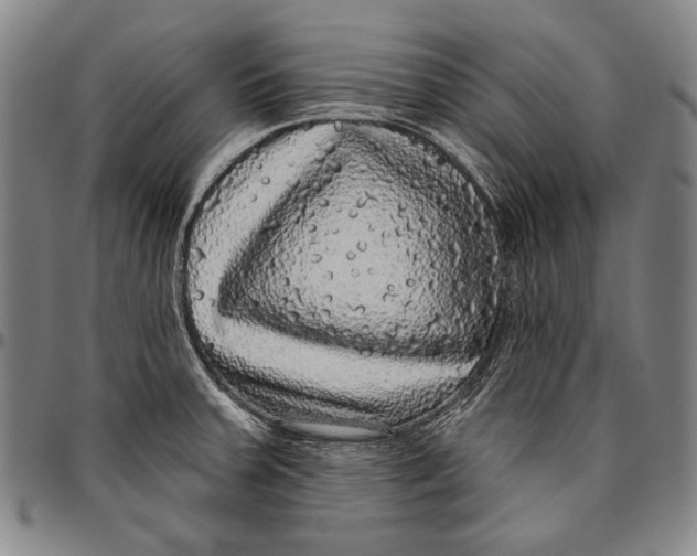 X0000096471379200802211140